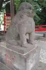 鎮守氷川神社の狛犬