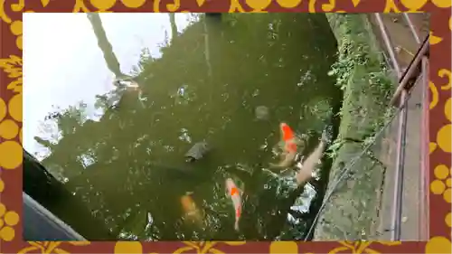 越ヶ谷久伊豆神社(埼玉県)