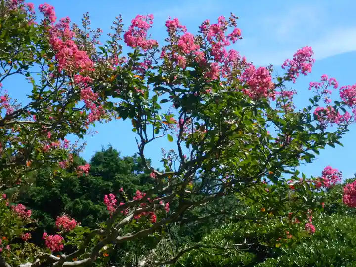 極楽寺(霊鷲山感應院極楽律寺)の庭園
