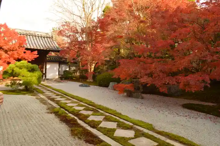 天授庵(京都府)