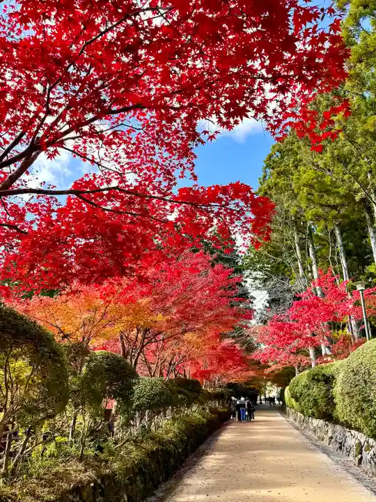 高野山金剛峯寺(和歌山県)