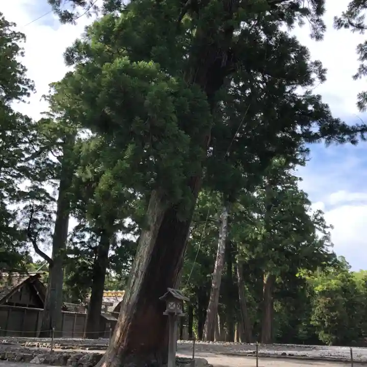 伊勢神宮外宮(豊受大神宮)(三重県)