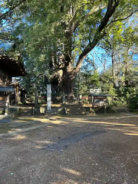 神崎神社(千葉県)