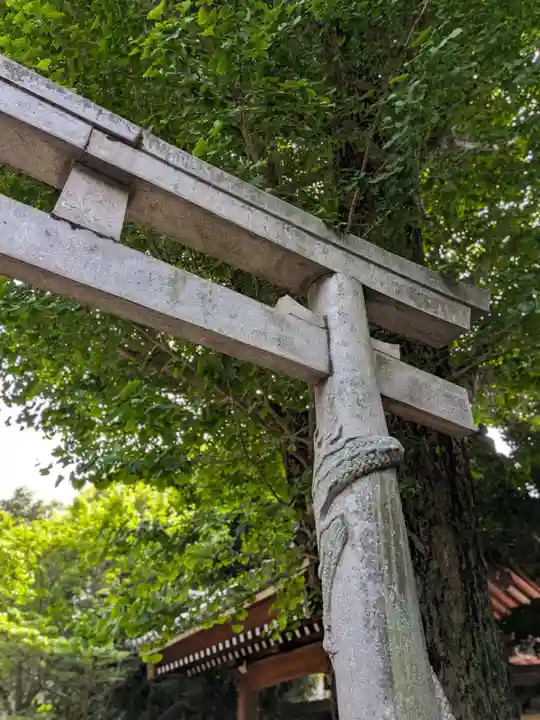 高円寺(東京都)