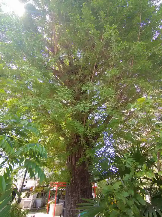 成子天神社(東京都)