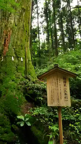 花園神社の自然