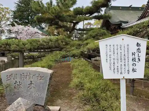 尾上神社の庭園