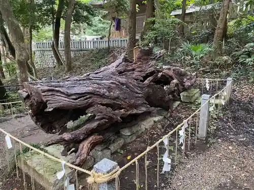 泉神社(茨城県)