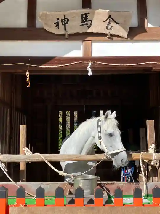 賀茂別雷神社(上賀茂神社)(京都府)