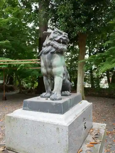 國魂神社の狛犬