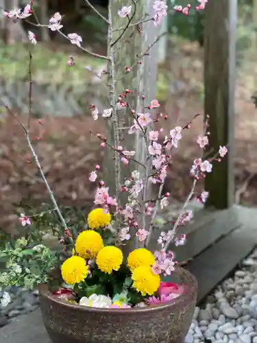 須山浅間神社(静岡県)