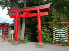 白笹稲荷神社の鳥居