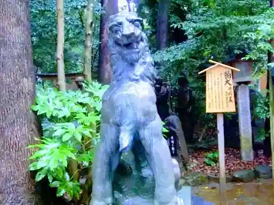 駒木諏訪神社の狛犬