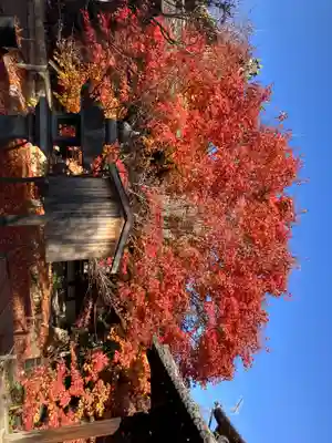 勝林寺(京都府)
