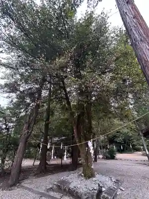 大和神社(奈良県)