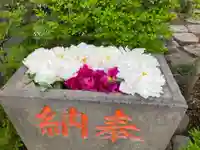塚越稲荷神社の手水舎