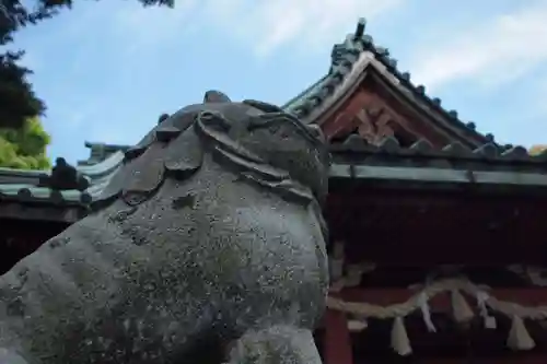 尾崎神社の狛犬