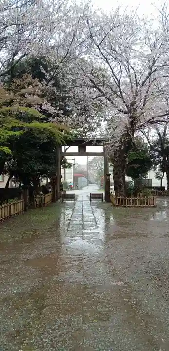畑子安神社の自然