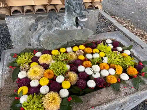 縣神社(京都府)