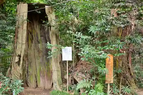 香取神宮の自然