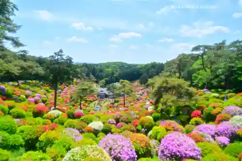 塩船観音寺(東京都)