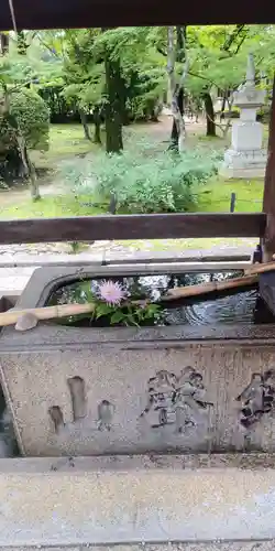 真正極楽寺（真如堂）の手水舎