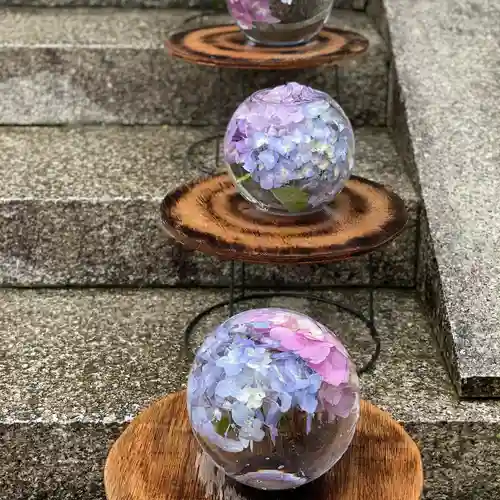 般若寺 ❁﻿コスモス寺❁(奈良県)