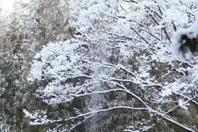 忍　諏訪神社・東照宮　の{uncategorized: "未分類", other: "その他", undefined: "問題あり", building: "その他建物", grave: "お墓", sacred_gate: "鳥居", guardian: "狛犬", statue: "像", buddha: "仏像", history: "歴史", nature: "自然", garden: "庭園", animal: "動物", pagoda: "塔", temizu: "手水舎", mountain_gate: "山門・神門", sanctuary: "本殿・本堂", subordinate: "末社・摂社", art: "芸術", scenery: "景色", jizo: "地蔵", ema: "絵馬", goshuin: "御朱印", omikuji: "おみくじ", items: "授与品その他", amulet: "お守り", goshuincho: "御朱印帳", eats: "食事", festival: "お祭り", votive_dance: "神楽", shichigosan: "七五三参", wedding: "結婚式", experience: "体験その他", initially: "初詣", around: "周辺", anti_infection: "感染症対策"}