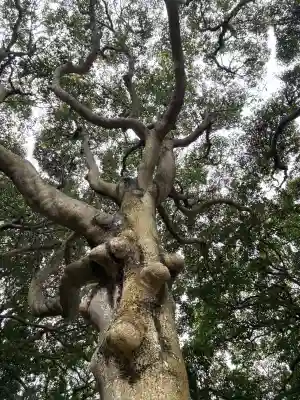 堀出神社(茨城県)
