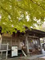 大宮神社(岩手県)