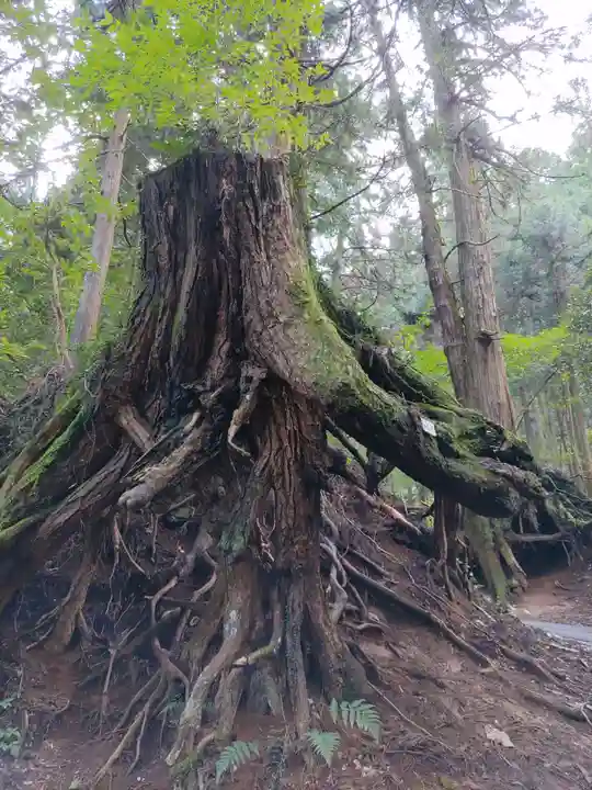 武蔵御嶽神社(東京都)