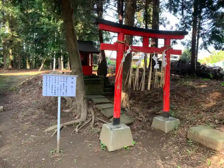 府中日吉神社(千葉県)