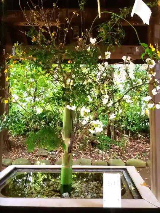 赤坂氷川神社(東京都)