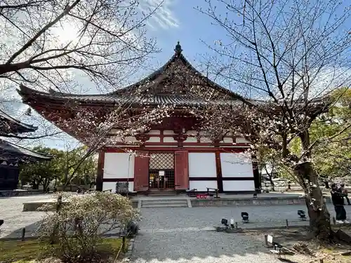 東寺（教王護国寺）の本殿・本堂