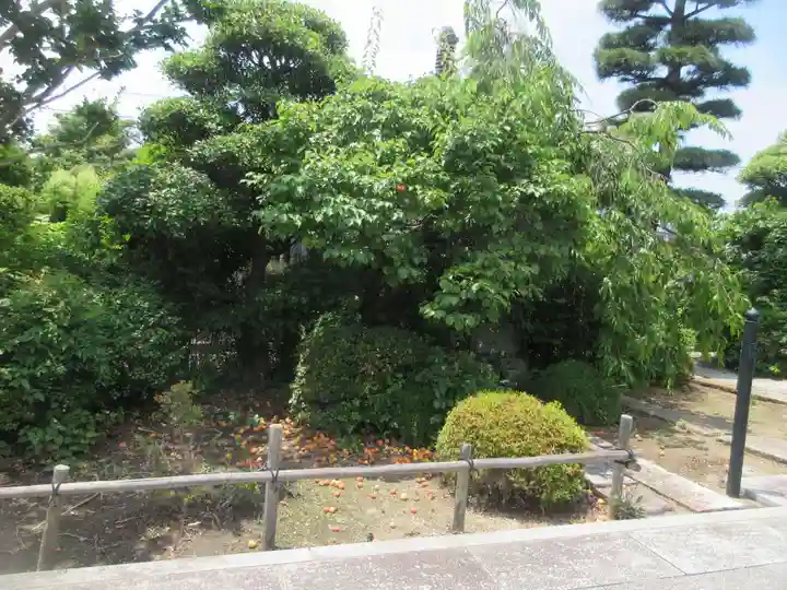 常福寺(埼玉県)