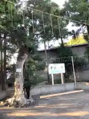 東海市熊野神社の建物その他