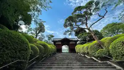 護国寺(東京都)