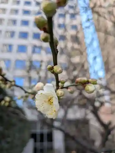 銀世界稲荷神社(東京都)