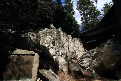 鹿島大神宮の自然