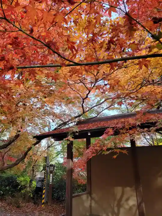 長岡天満宮(京都府)