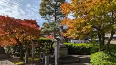 妙顯寺（妙顕寺）(京都府)