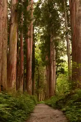 戸隠神社九頭龍社(長野県)