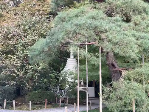 龍安寺(京都府)