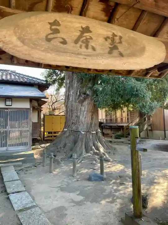 同聚院の{uncategorized: "未分類", other: "その他", undefined: "問題あり", building: "その他建物", grave: "お墓", sacred_gate: "鳥居", guardian: "狛犬", statue: "像", buddha: "仏像", history: "歴史", nature: "自然", garden: "庭園", animal: "動物", pagoda: "塔", temizu: "手水舎", mountain_gate: "山門・神門", sanctuary: "本殿・本堂", subordinate: "末社・摂社", art: "芸術", scenery: "景色", jizo: "地蔵", ema: "絵馬", goshuin: "御朱印", omikuji: "おみくじ", items: "授与品その他", amulet: "お守り", goshuincho: "御朱印帳", eats: "食事", festival: "お祭り", votive_dance: "神楽", shichigosan: "七五三参", wedding: "結婚式", experience: "体験その他", initially: "初詣", around: "周辺", anti_infection: "感染症対策"}