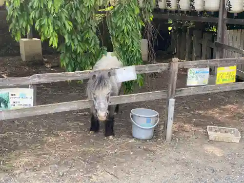 大石神社(京都府)