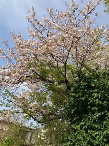 教恩寺の庭園