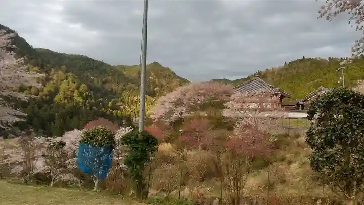 地蔵院 (室生寺塔頭)の景色