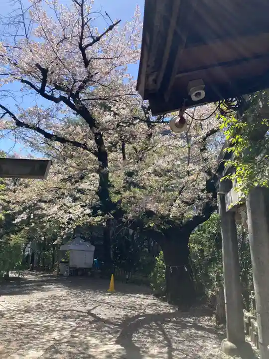 牛天神北野神社(東京都)