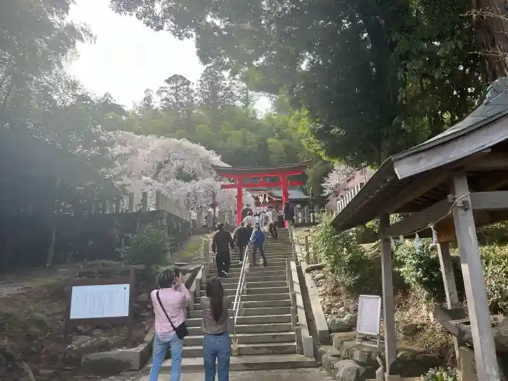 小川諏訪神社の{uncategorized: "未分類", other: "その他", undefined: "問題あり", building: "その他建物", grave: "お墓", sacred_gate: "鳥居", guardian: "狛犬", statue: "像", buddha: "仏像", history: "歴史", nature: "自然", garden: "庭園", animal: "動物", pagoda: "塔", temizu: "手水舎", mountain_gate: "山門・神門", sanctuary: "本殿・本堂", subordinate: "末社・摂社", art: "芸術", scenery: "景色", jizo: "地蔵", ema: "絵馬", goshuin: "御朱印", omikuji: "おみくじ", items: "授与品その他", amulet: "お守り", goshuincho: "御朱印帳", eats: "食事", festival: "お祭り", votive_dance: "神楽", shichigosan: "七五三参", wedding: "結婚式", experience: "体験その他", initially: "初詣", around: "周辺", anti_infection: "感染症対策"}