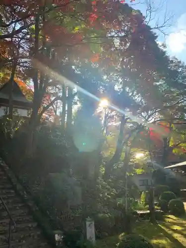 楠妣庵観音寺(大阪府)